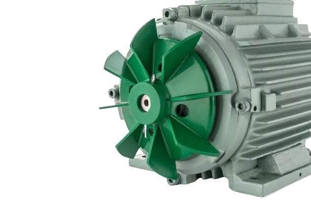 Aeronox Induction Motor Manufacturer in New Delhi
